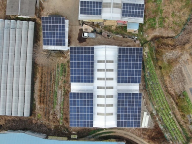 경북 경산 민재태양광 - 97.44kw