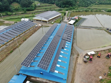 충남 부여 대울, 정호 태양광 - 각 99.45kw