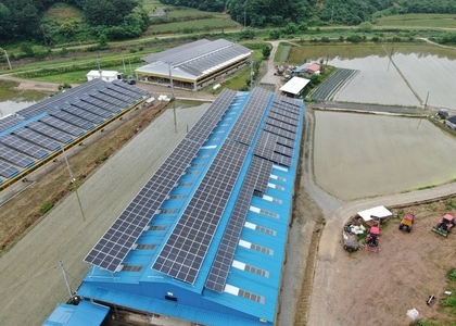 충남 부여 대울, 정호 태양광 - 각 99.45kw