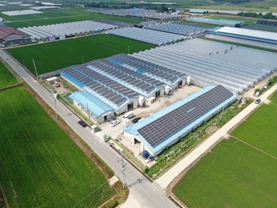 충북 진천 팔팔1,2,3,4호 - 각 95.03kw