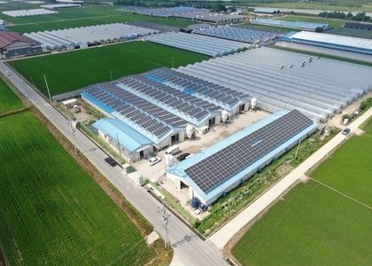 충북 진천 팔팔1,2,3,4호 - 각 95.03kw