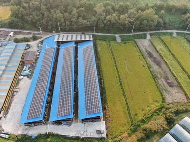 충북 영동 다인태양광 - 298.89kw