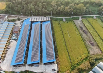 충북 영동 다인태양광 - 298.89kw
