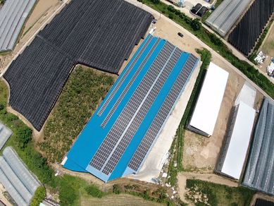 충북 옥천 향수TMR태양광 - 395.9kw
