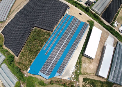 충북 옥천 향수TMR태양광 - 395.9kw